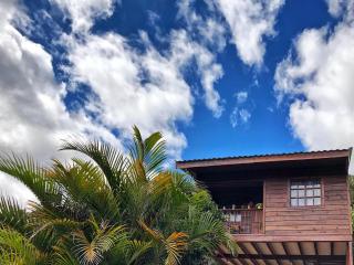 Cabaña Vista Verde - Cartago - 4