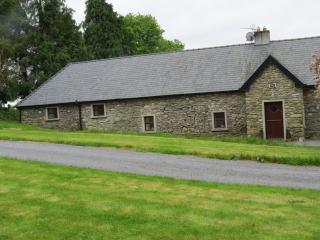 The Old House - Carrick-on-Suir - 1