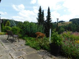 Pension Haus Petra - 7