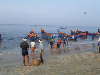 Marari Beach paradise - Mararikulam - 5