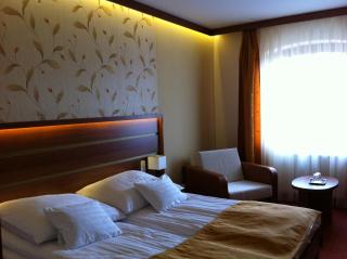 Aranybánya Hotel - Telkibánya - 2