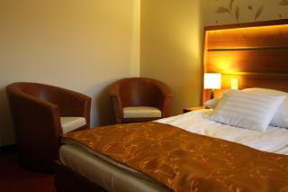 Aranybánya Hotel - 1