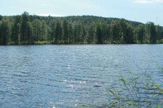 Коттедж в Финляндии, Enonkoski (розовый) - Enonkoski - 4
