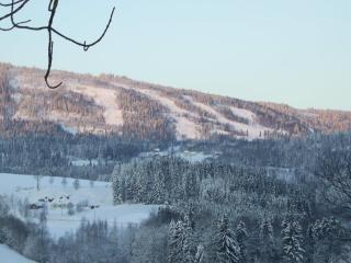 Sogn Gjestegard - Svarstad - 7