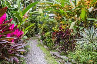 Tico Tico Villas - Adult Only - Manuel Antonio - 1