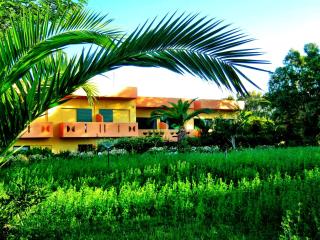 Chrissas Apartments - Rethymno - 0