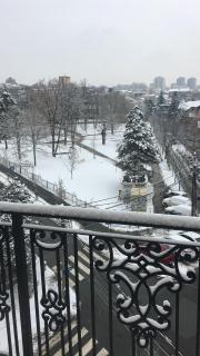 LION NEST - Belgrad - 7