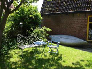 De iisfugel - Gaast - 5