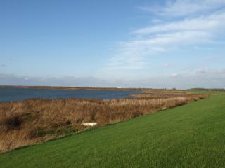 De iisfugel - Gaast - 4