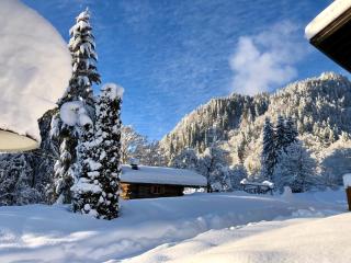 Brunnenhof Oberstdorf - Ferienwohnungen mit Hotel Service - Oberstdorf - 4