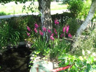 Gites du ROHERAN - 3