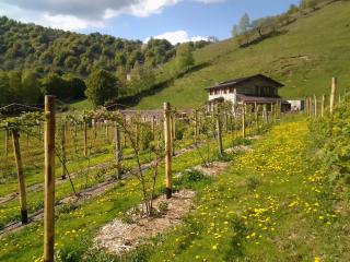 Agriturismo Le Radici - 2