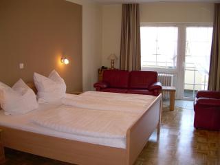 Hotel-Restaurant Sälzerhof - Salzkotten - 6