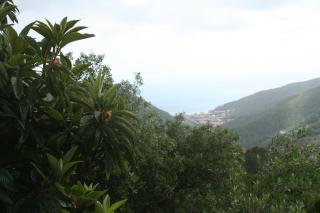 Hotel 5 Terre Nel Sole - Deiva Marina - 2