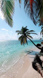 Play to Live San Blas - 1