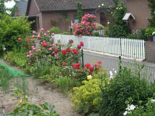 Steffens - Soltau - 1