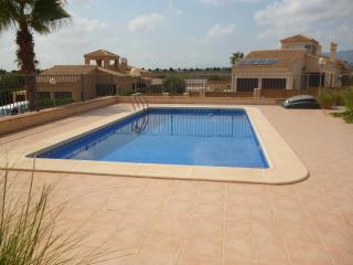 HL003 Luxury 3 Bedroom Detached villa with Private pool - Fuente Alamo - 9