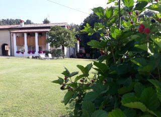 Agriturismo la Scala - Salò - 0