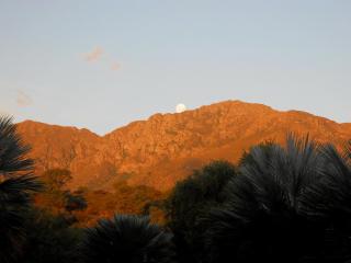 Palmares al cerro - Capilla del Monte - 2