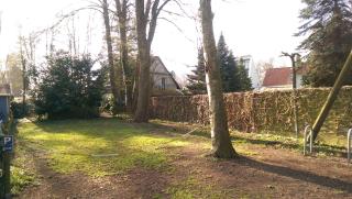 Ferienwohnung Struckmann am Steinhuder Meer - Neustadt am Rübenberge - 5