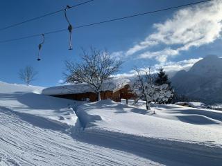 Jagdhütte - Abtenau - 9