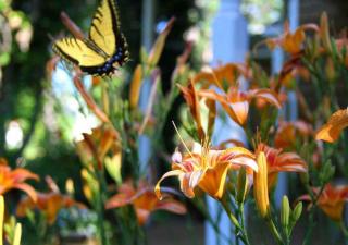 Sunflower Hill Inn - Moab - 5