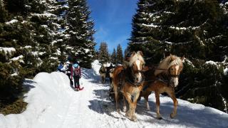 Residence La Planta - 7