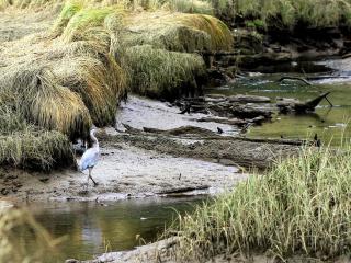 South Fork River Lodge - Raymond - 6