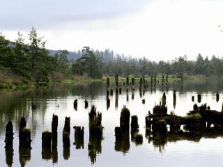 South Fork River Lodge - Raymond - 2