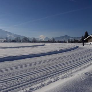 Appartement Müllner - Kirchdorf in Tirol - 6