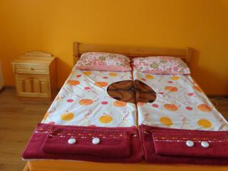 Apartment Moni - Veliko Tŭrnovo - 9