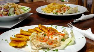 Hotel Playa Reina - 0