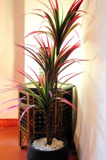 Riad Al Mamoune - Marrakesh - 3