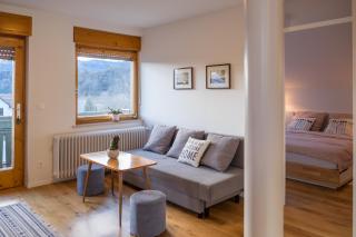 HOMe apartments & Yoga studio - Bled-Rečica - 1