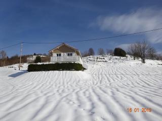 La Bresse Hautes Vosges Chalet Le Podent - La Bresse - 3