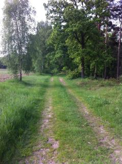 Forsthof - 2
