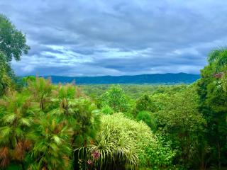 Daintree Manor B&B - Daintree - 9