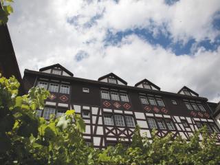Hotel Felsenkeller - Rüdesheim am Rhein - 1