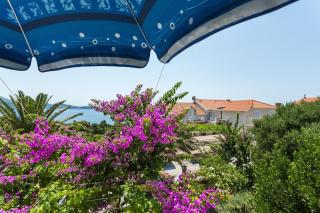 Villa Scala 2 - Mlini - Mlini - 2