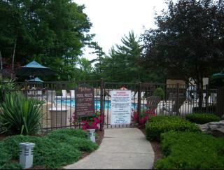 Tall Pines Motel - Lake George - 6