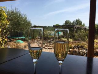 Le Petit Paradis - La Provençale - Lorgues - 1