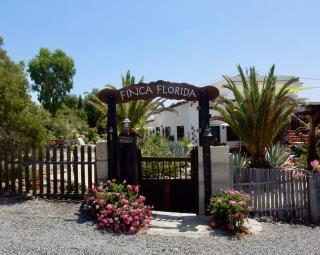 Finca Florida - San Miguel de Abona - 9