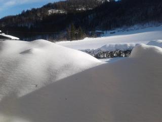 Lärcheck - Ramsau - 1