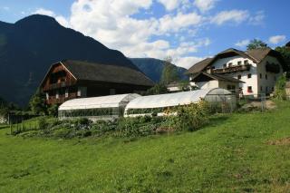 Bio Felderhof - Villa Ottone - 6
