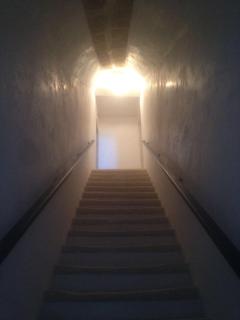 residence specchia - Specchia - 9