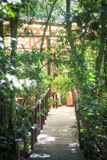 Hotel Wagelia Espino Blanco - Turrialba - 5