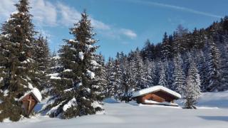 Apart Waldegger - Nauders - 6