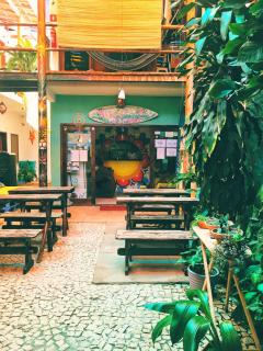 Buddy's Hostel Itacaré - Itacaré - 2