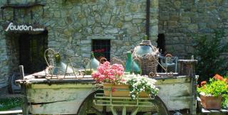 Agriturismo Saudon - 8
