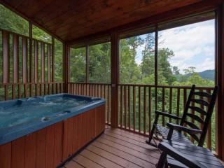 A Walk in the Clouds - Gatlinburg - 7